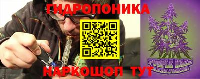a pvp Усть-Илимск