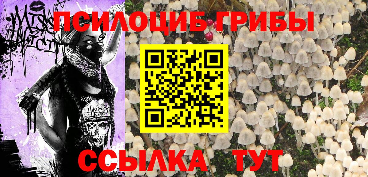Сарапул  Псилоцибиновые грибы Magic Shrooms  купить  цена  Галлюциногенные грибы Psilocybe  Вход с VPN 